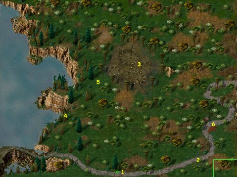 estchatsuif(2).jpg (49408 bytes)