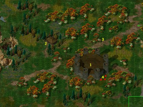 hautehaie(2).jpg (49719 bytes)