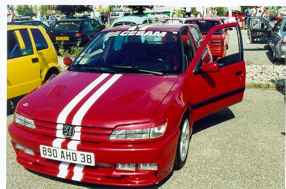 peugeot2.jpg (81456 bytes)