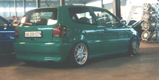 polo13.jpg (18843 bytes)