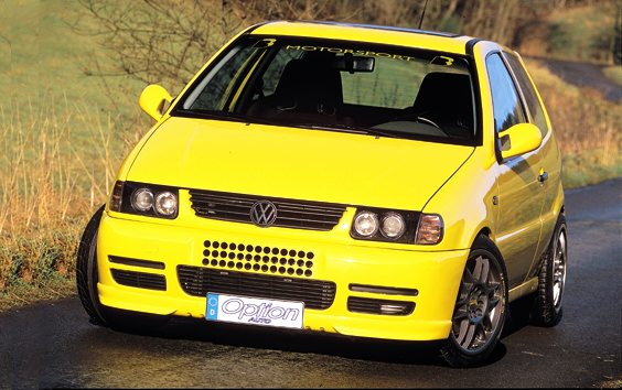 polo5.jpg (56146 bytes)