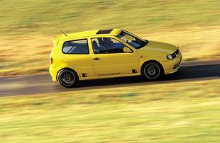 polo7.jpg (13606 bytes)