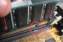 dimm1.jpg (19956 bytes)