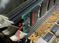 dimm2.jpg (19665 bytes)