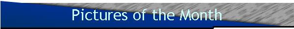 Pictures of the Month
