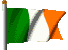 The Irish Flag !! 