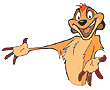 Timon!