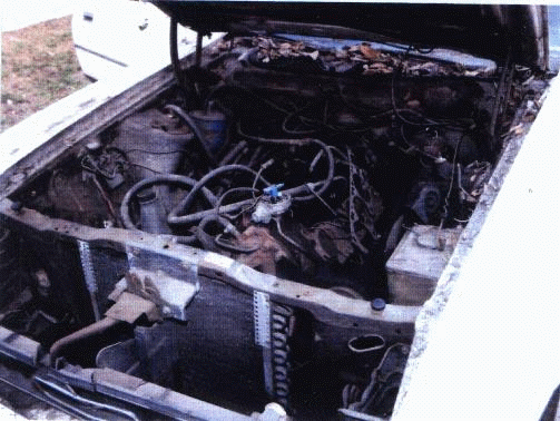 The Engine Before I stated rebuilding it.