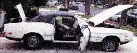 This is what it looked like day one.