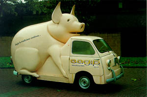 car1-big.jpg (19617 bytes)