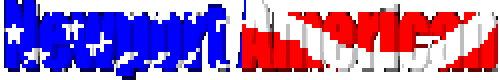 Newport American logo