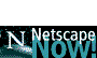 Netscape logo and link