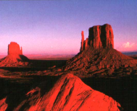 LIFE IS TOO BIG FOR CARS