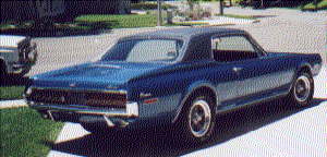 Another picture of my cougar