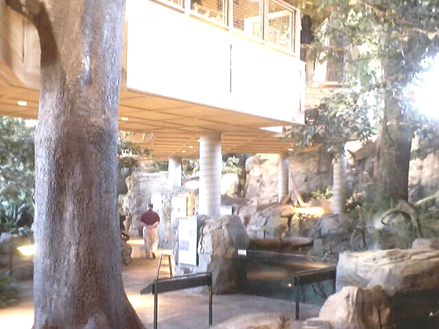 021225_mo_christmas_0017.jpg (103624 bytes)