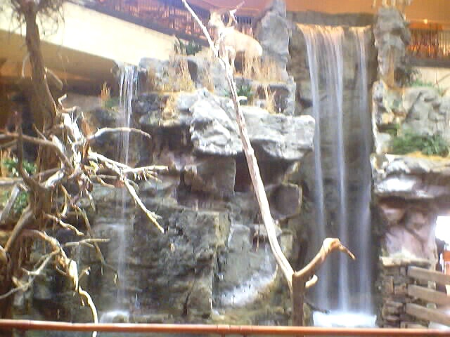 021225_mo_christmas_0018.jpg (105695 bytes)