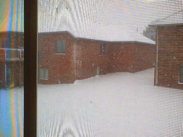 021225_mo_christmas_0020.jpg (100591 bytes)