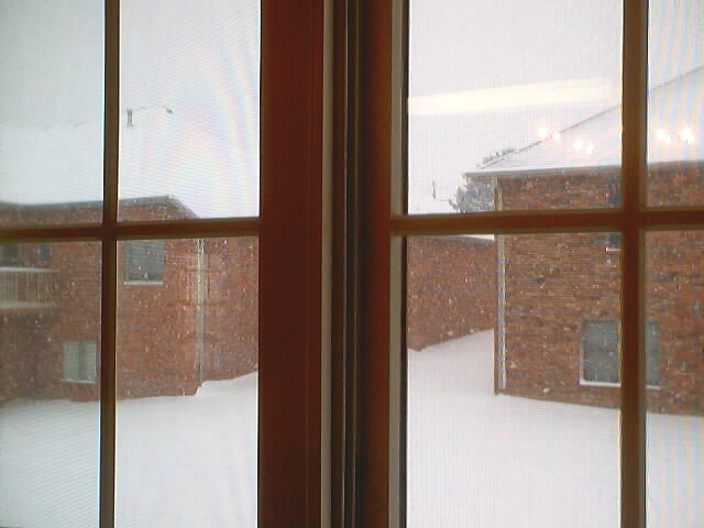 021225_mo_christmas_0021.jpg (74559 bytes)