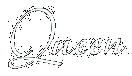 go toThe Official Queen Homepage
