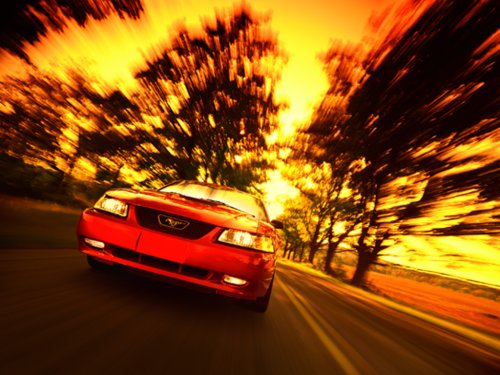 993.jpg (54212 bytes)