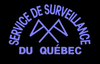 surveillance.JPG (13091 octets)