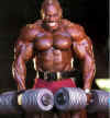 flex wheeler.jpg (19526 bytes)