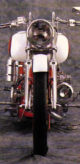 whitefront (45186 bytes)