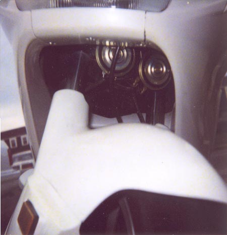 Horns.jpg (31051 bytes)