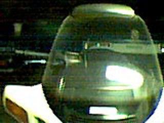 Napoleon_3.jpg (17887 bytes)