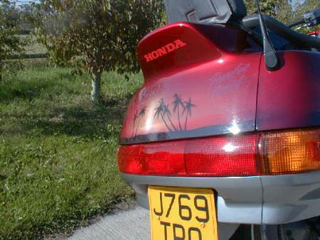 palm.jpg (44696 bytes)