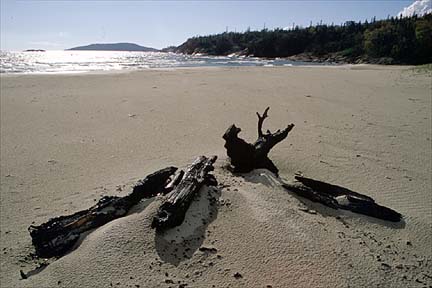 B18.jpg (26630 bytes)