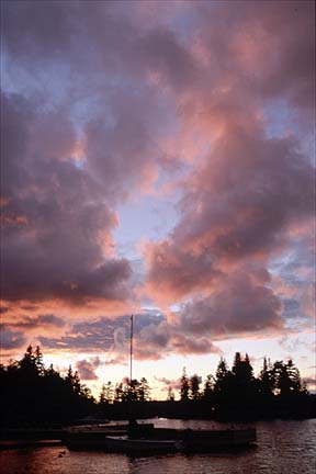 D30.jpg (16097 bytes)