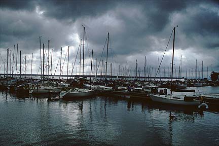 F12.jpg (26671 bytes)