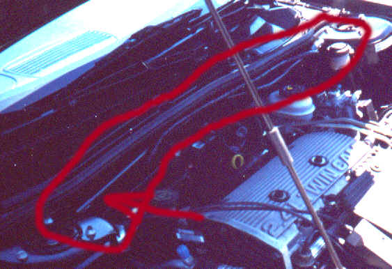 wpe2.jpg (34076 bytes)