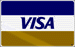 Visa Logo