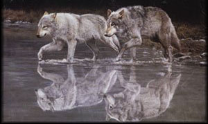 Canadian Flag. 1-Kb.