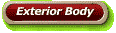 Exterior Body