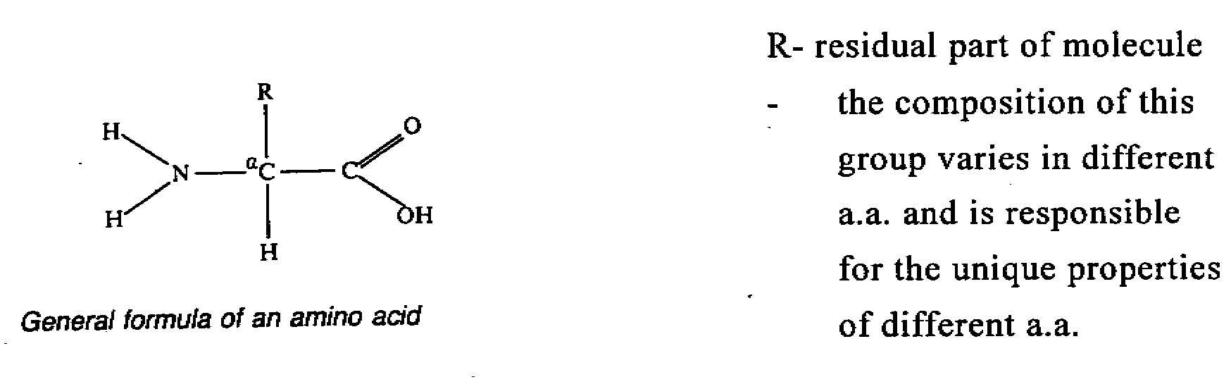 c1.gif (12119 bytes)