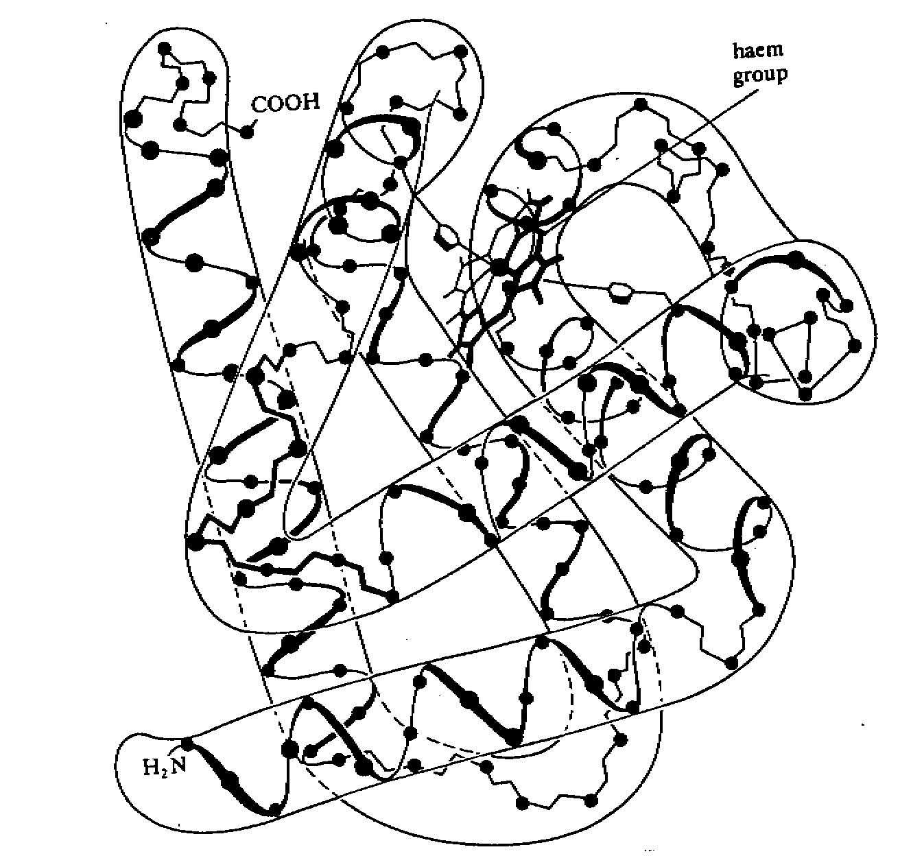 c10.gif (39541 bytes)