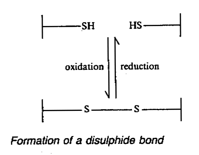 c6.gif (10329 bytes)