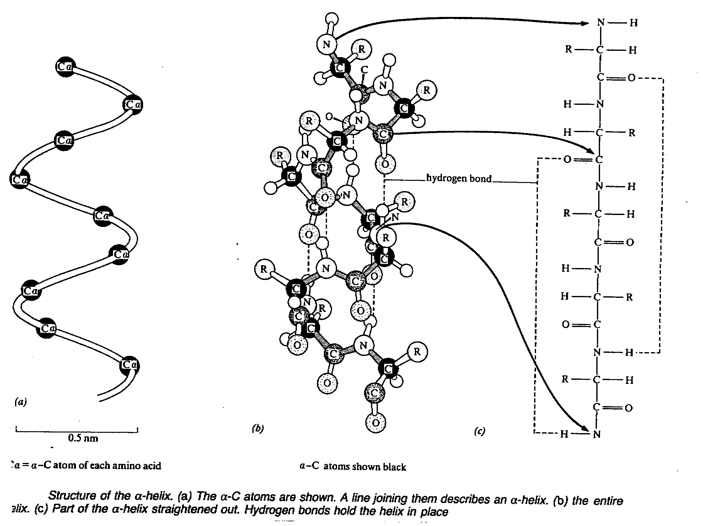 c7.gif (55278 bytes)