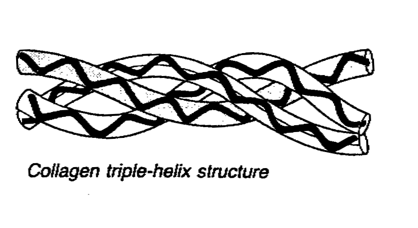 c9.gif (22438 bytes)