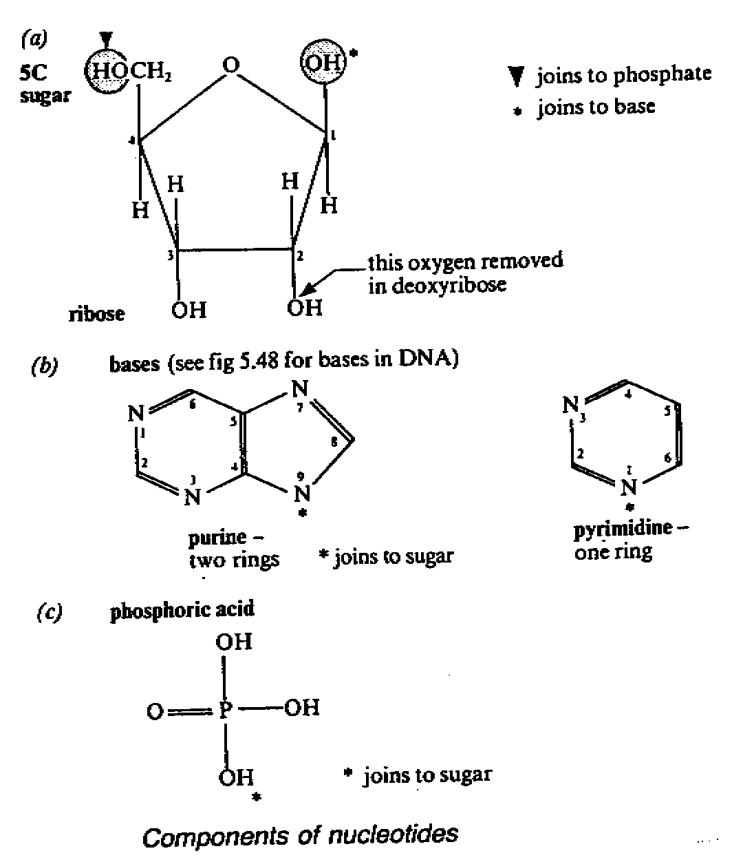 chem31.gif (18247 bytes)