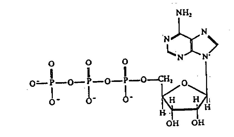chem32.gif (6253 bytes)