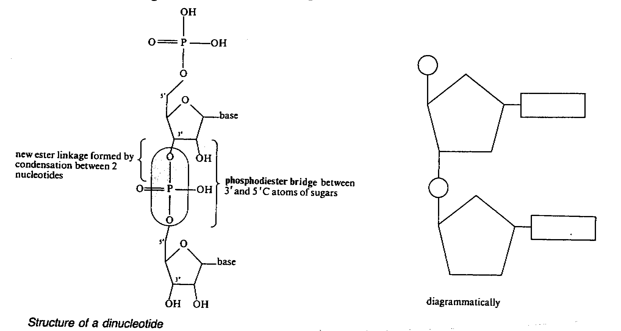 chem33.gif (19805 bytes)