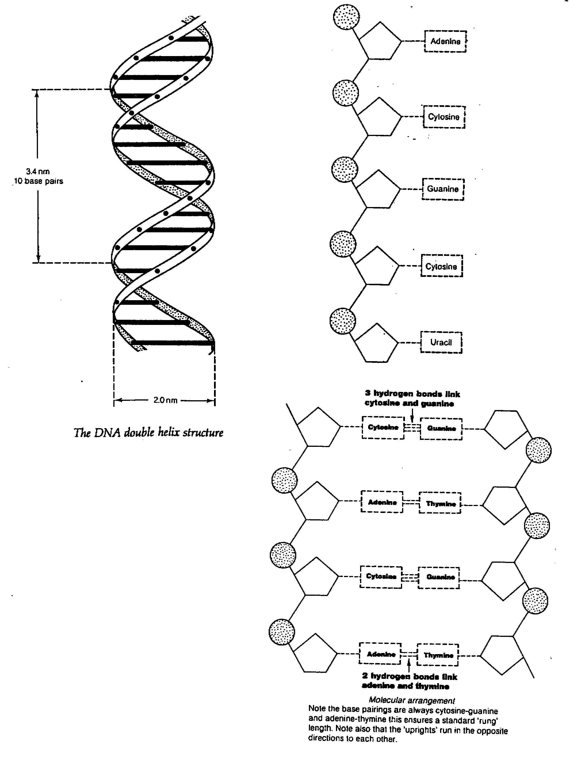 chem34.gif (60683 bytes)