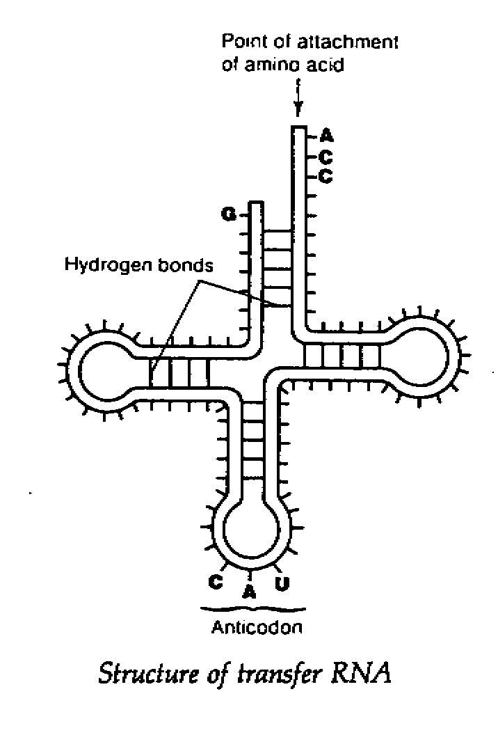 chem35.gif (11503 bytes)