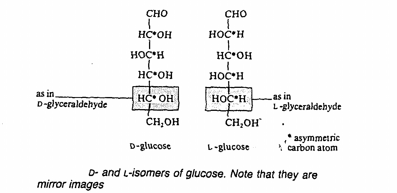 d1.jpg (329146 bytes)