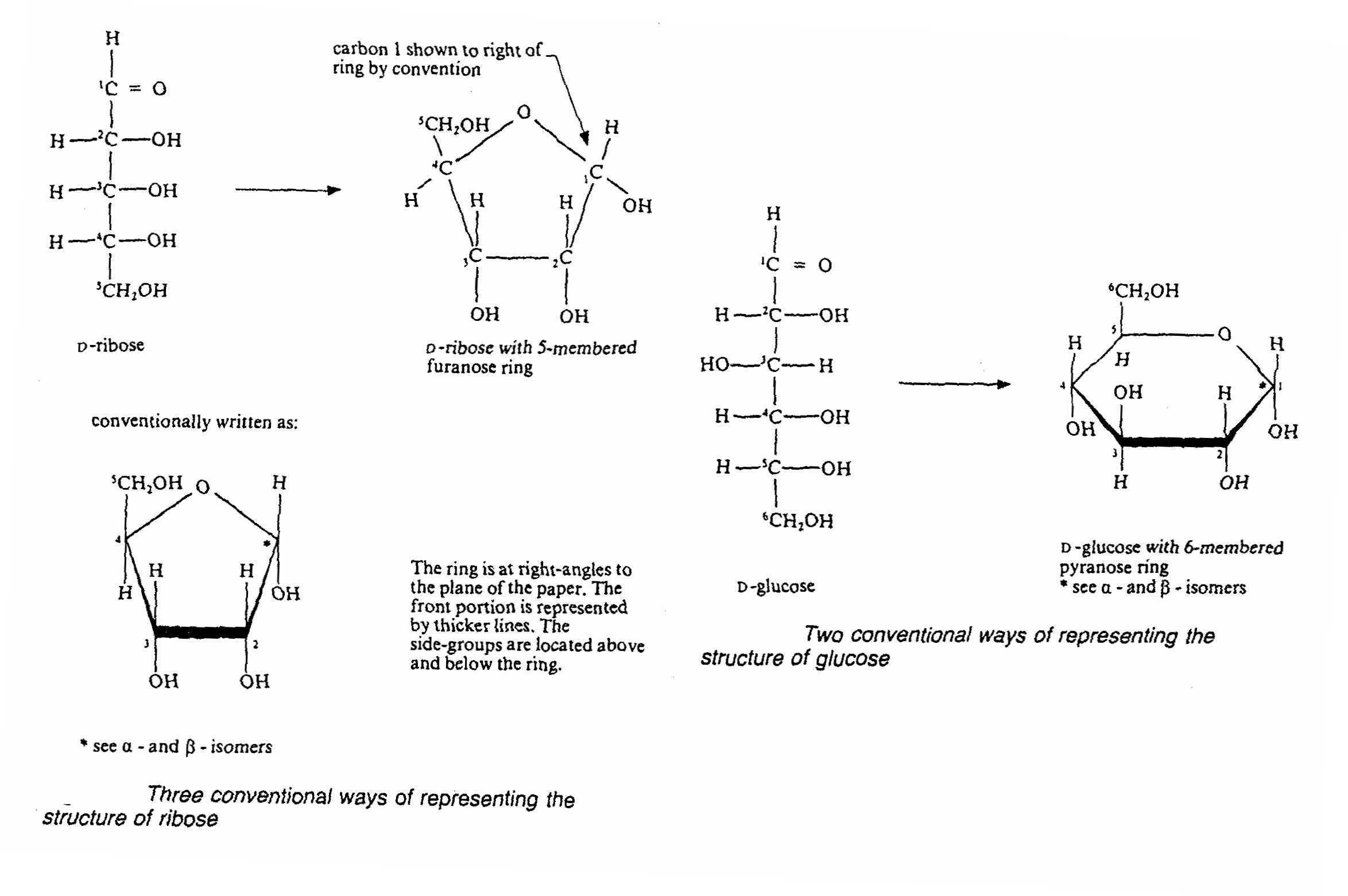 d2.tif (308196 bytes)