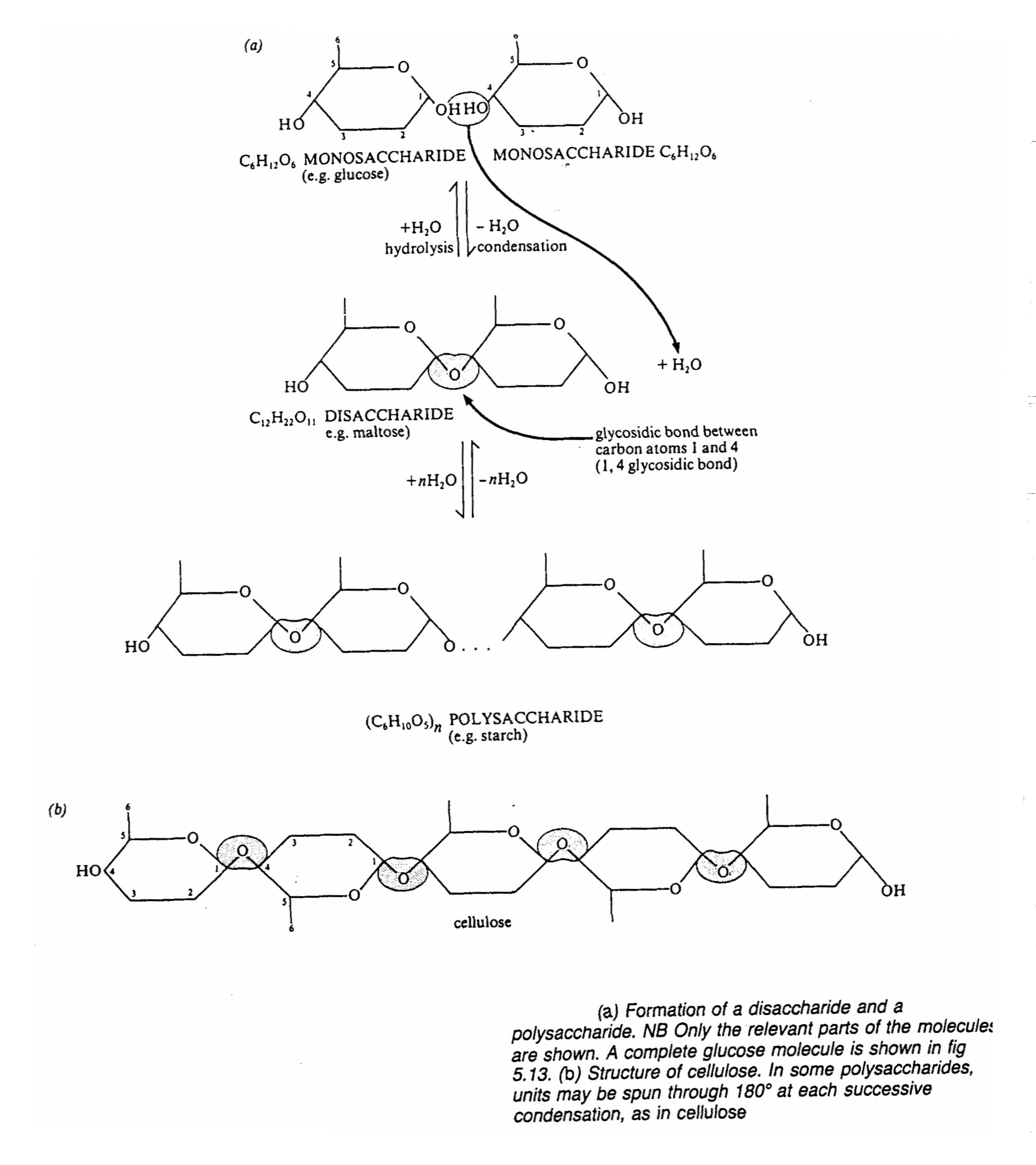 d3.tif (514313 bytes)